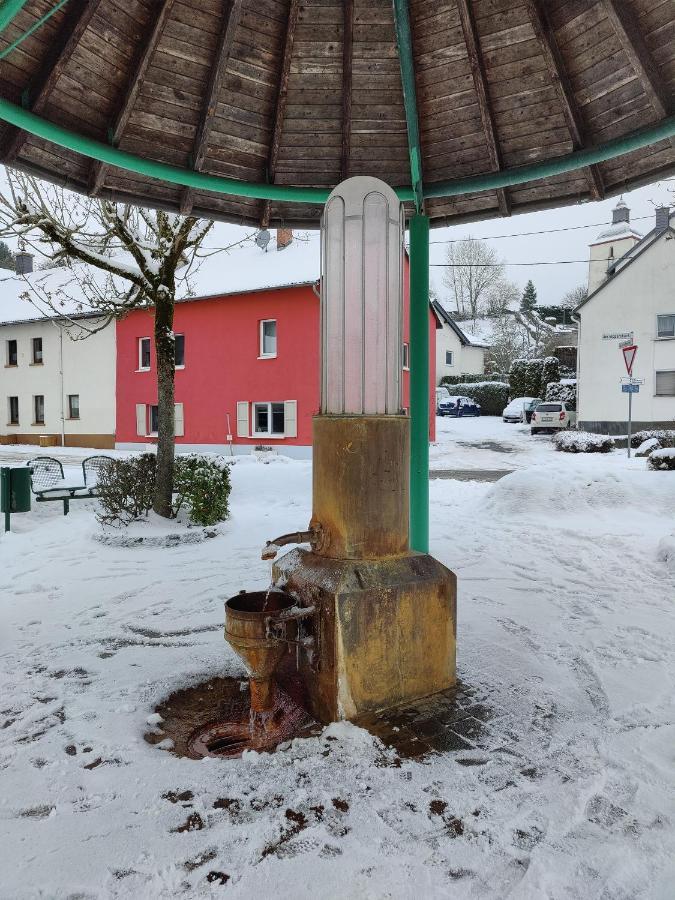 Ferienhaus Am Sauerbrunnen Даун Екстер'єр фото