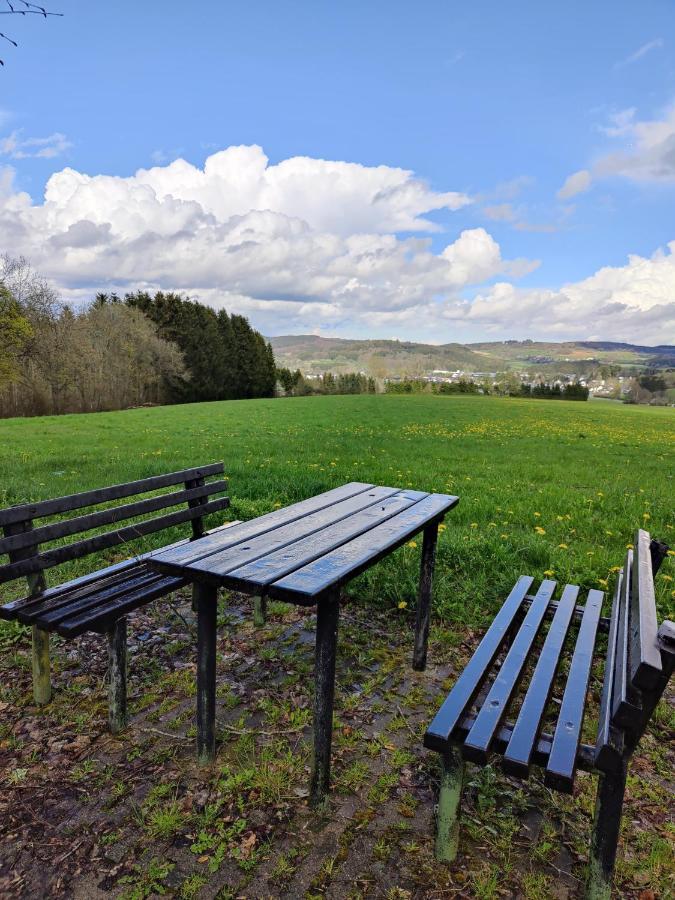 Ferienhaus Am Sauerbrunnen Даун Екстер'єр фото