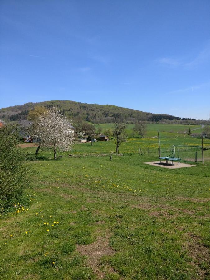 Ferienhaus Am Sauerbrunnen Даун Екстер'єр фото